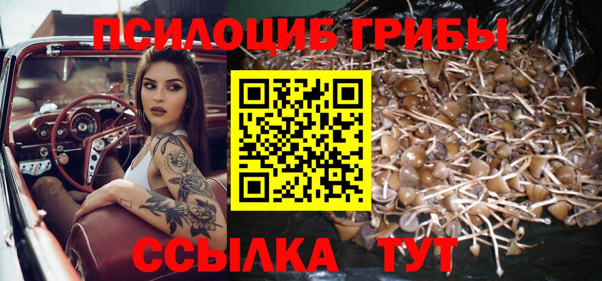 дарнет шоп  Галлюциногенные грибы Psilocybine cubensis  Вход с VPN  Южноуральск 